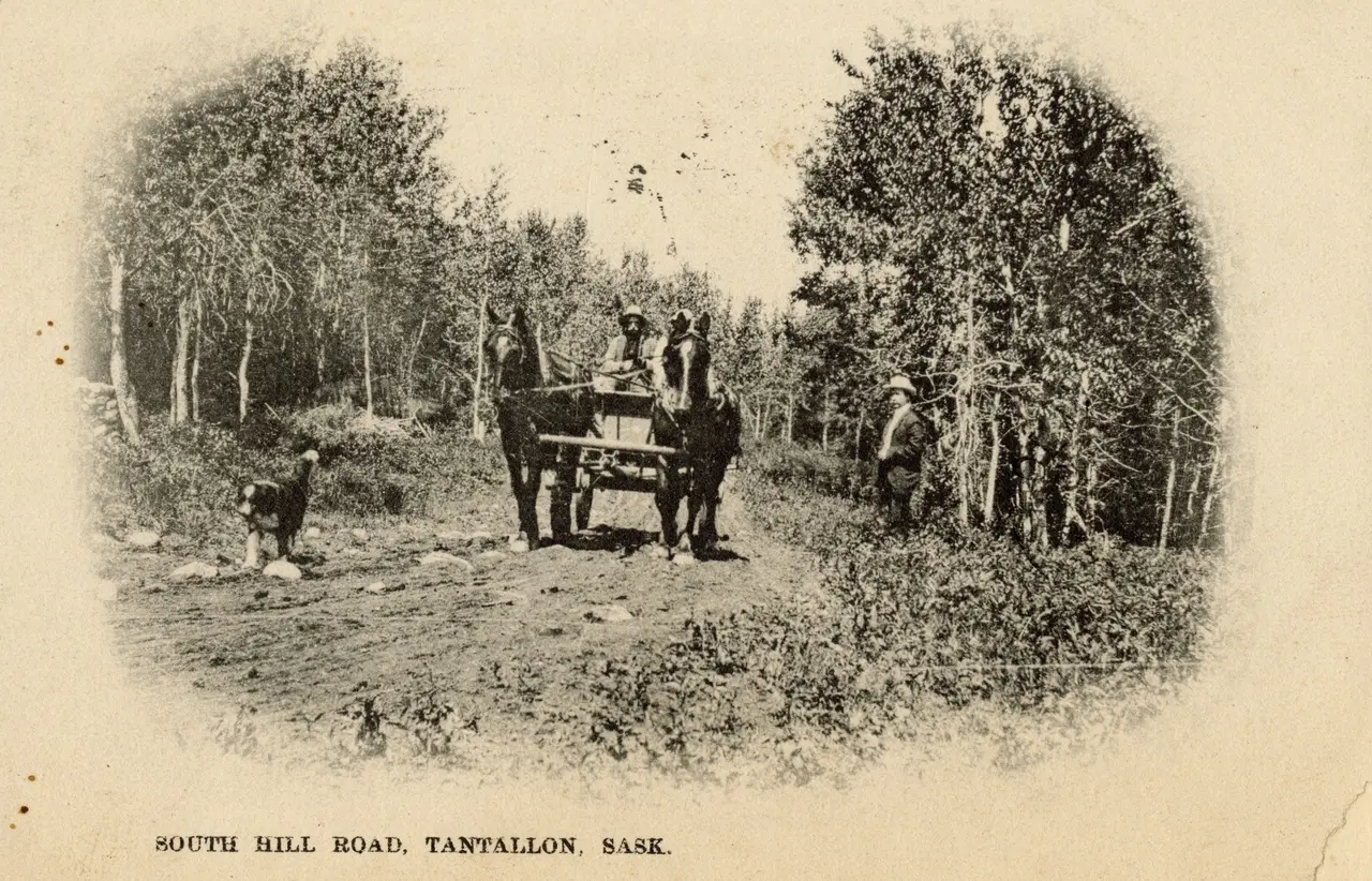 South Hill Road, about 1910